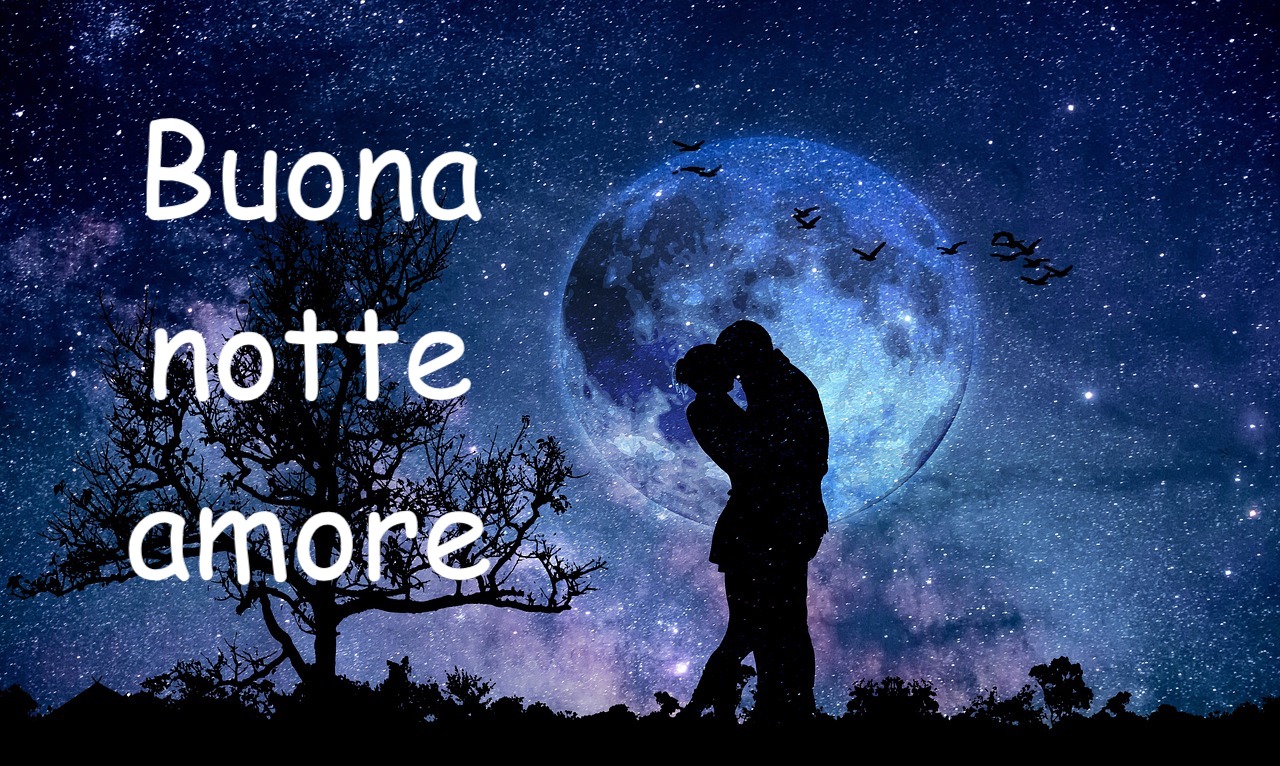  immagine buona notte amore romantica di una coppia che si bacia sotto le stelle e la luna 